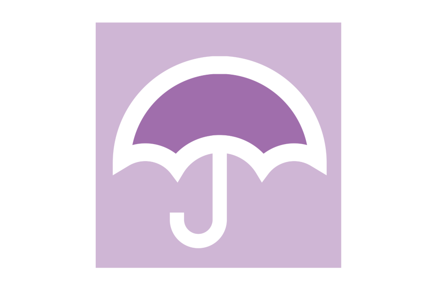 safeguarding umbrella.png