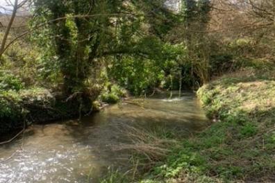 river marden, calne.jpg